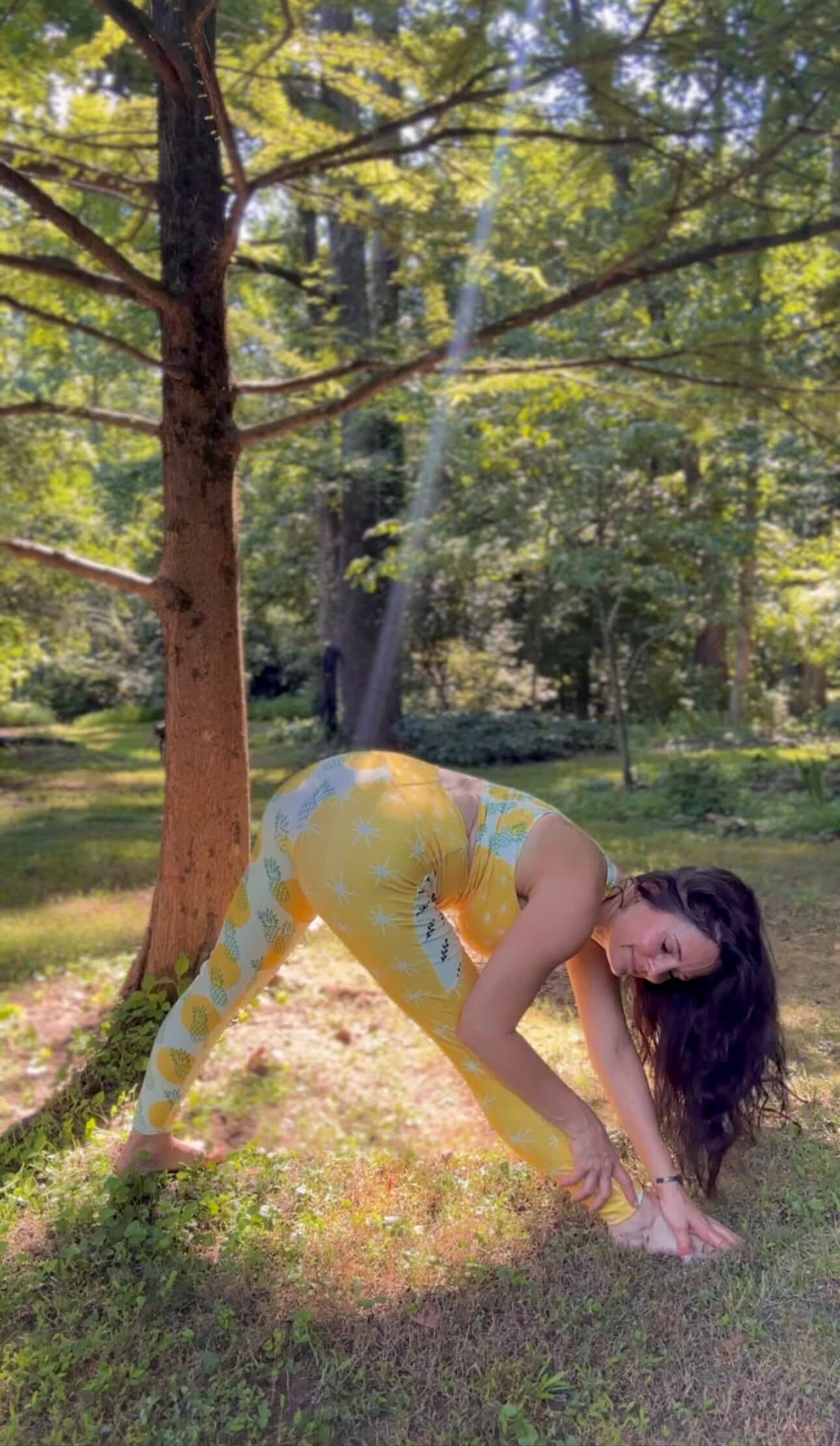 Starbursts & Pineapple Crossover Waisted Leggings