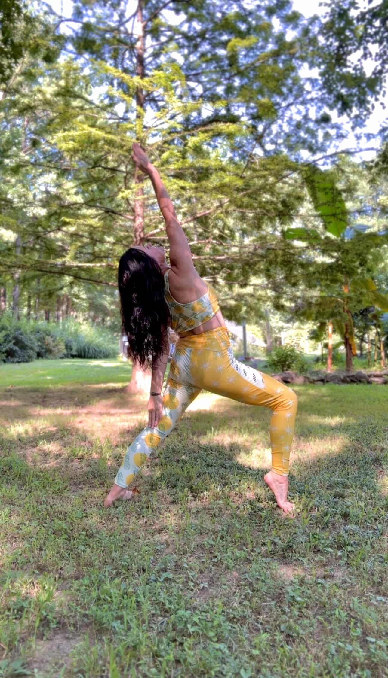 Starbursts & Pineapple Crossover Waisted Leggings